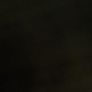 Meet your Posher, Lee